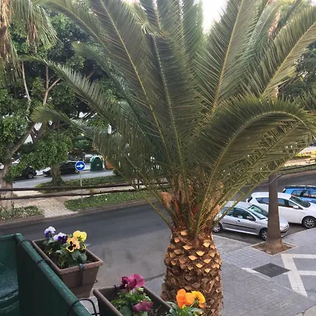 Apartment New & Parking Alcazaba